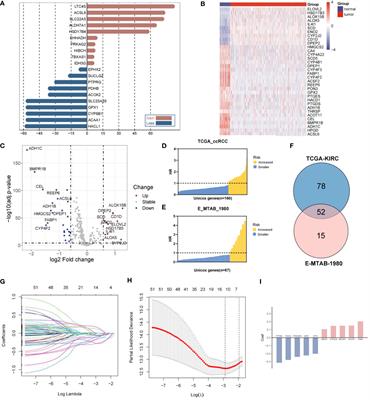 Prognosis and pain dissection of novel signatures in kidney renal clear cell carcinoma based on fatty acid metabolism-related genes